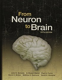 From Neuron to Brain, Fifth Edition with Neurons in Action 2: Tutorials and Simulations using NEURON Download