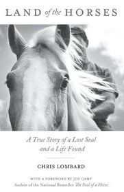 Land of the Horses: A True Story of a Lost Soul and a Life Found