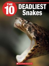 The 10 Deadliest Snakes