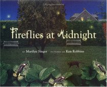 Fireflies at Midnight