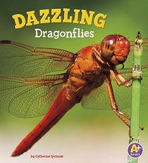 Dazzling Dragonflies (Bugs Are Beautiful!)