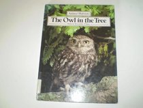 The Owl in the Tree (Animal Habitats)