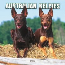 Australian Kelpies 2007 Calendar