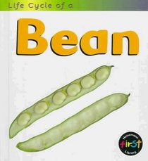 Life Cycle of a Bean (Heinemann First Library)
