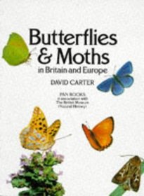 Butterflies & Moths in Britin & Europe