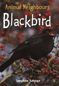 Animal Neighbours: Blackbird