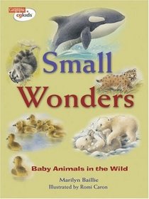 Small Wonders: Baby Animals in the Wild