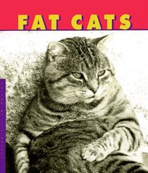 Fat Cats