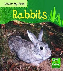 Read and Learn: Under My Feet - Rabbits (Read & Learn) (Read & Learn)