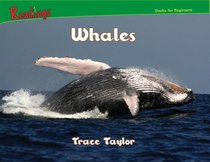 Whales (Readings: Marine Animals)