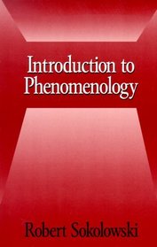 Introduction to Phenomenology