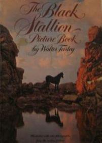 The Black Stallion Picture Book