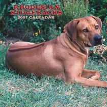 Rhodesian Ridgebacks 2007 Calendar