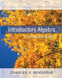 Introductory Algebra concepts and graphs