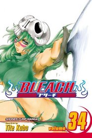 Bleach, Vol. 34 (Bleach (Graphic Novels))