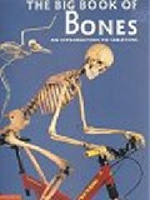 The Big Book of Bones: An Introduction to Skeletons