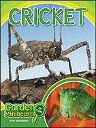 Cricket (Garden Minibeasts Up Close)