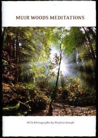 Muir Woods Miditations (Forest Meditations)