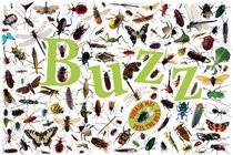 Buzz