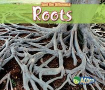 Roots (Acorn)