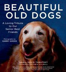 Beautiful Old Dogs: A Loving Tribute to Our Senior Best Friends