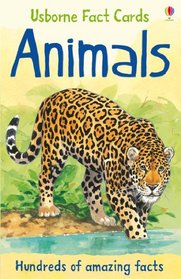 Animals (Fact Cards)