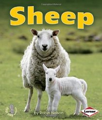 Sheep (First Step Nonfiction - Farm Animals)