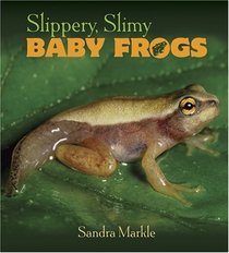 Slippery, Slimy Baby Frogs