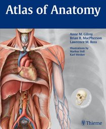 Atlas of Anatomy (Thieme Anatomy) (Thieme Anatomy)