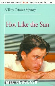 Hot Like the Sun (Terry Tyndale Mysteries)