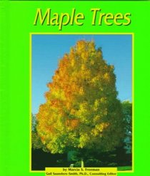 Maple Trees (Trees) (Trees (Mankato, Minn.).)