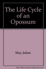 The Life Cycle of an Opossum