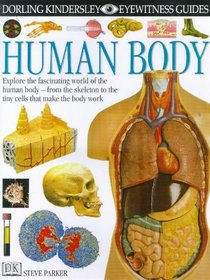 DK Eyewitness Guides: Human Body (DK Eyewitness Guides)