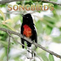 Songbirds 2005 Wall Calendar