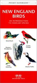 New England Birds (Pocket Naturalist)