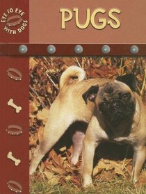 Pugs (Eye to Eye With Dogs)