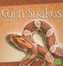 Corn Snakes (First Facts)