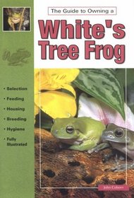 The Guide to Owning White's Tree Frog