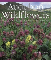 Audubon Wildflowers Wall Calendar 2006