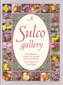 A Sulco Gallery