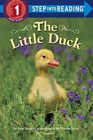 The Little Duck (Step into Reading)
