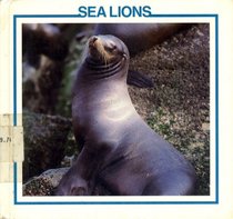 Sea Lions (Sea Mammal Discovery Library)