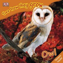 Owl (See How They Grow)