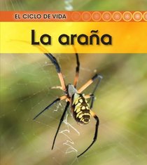 La araña (Spider) (El Ciclo De Vida / Life Cycle of a. . .) (Spanish Edition)
