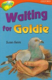 Oxford Reading Tree: Stage 13: TreeTops Stories: Waiting for Goldie (Treetops Fiction)