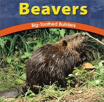 Beavers: Big-Toothed Builders (Wild World of Animals)