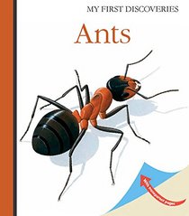 Ants (My First Discoveries)