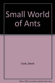 Small World of Ants