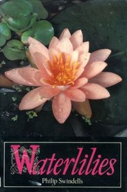 Waterlilies