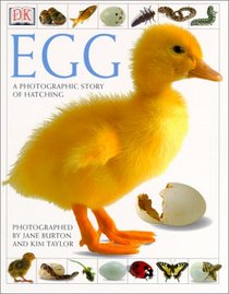 Egg: A Photographic Story of Hatching